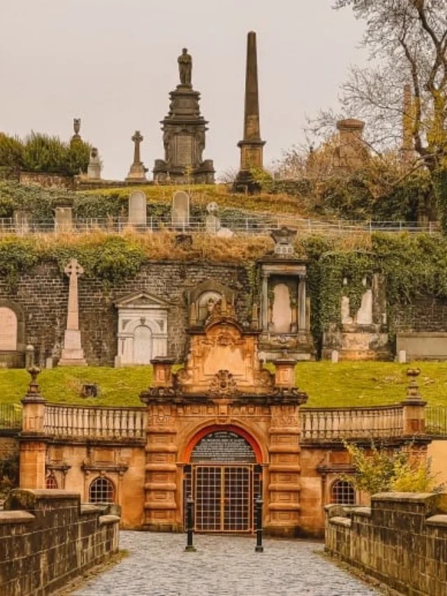 Visit-Glasgow-Necropolis-Guide-7-689x517