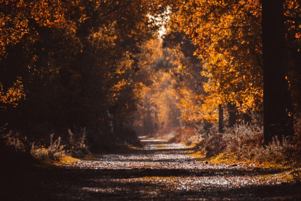 NewEngland one of the Best travel spots in the US during Fall