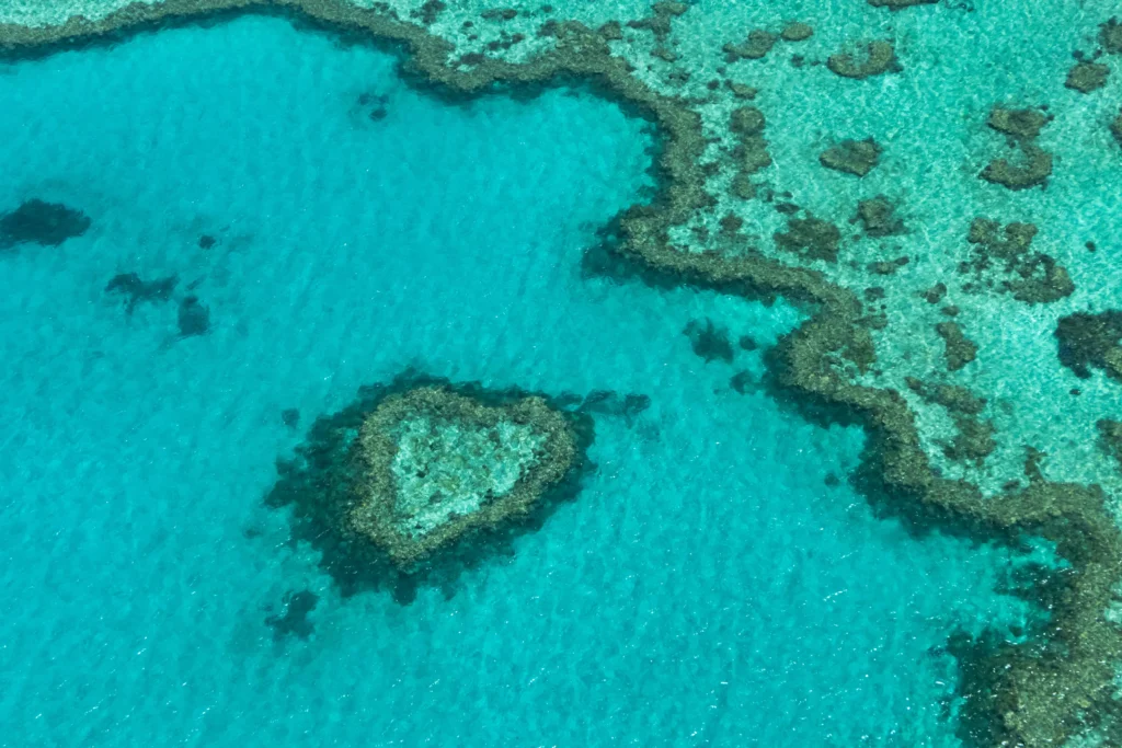 Reef dive best places to go in Australia