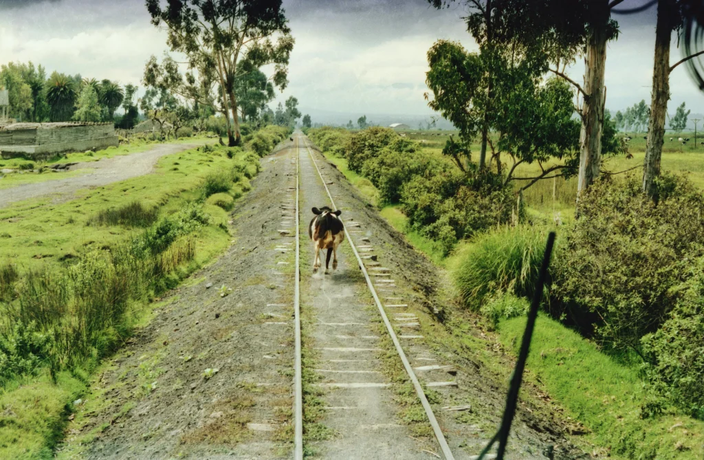 Ecuador continues to be the best hidden travel gems of 2025