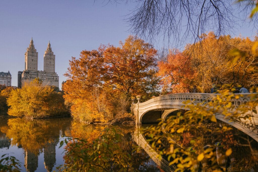 Central Park walking paths and green spaces, one of the most relaxing things to do in New York City.