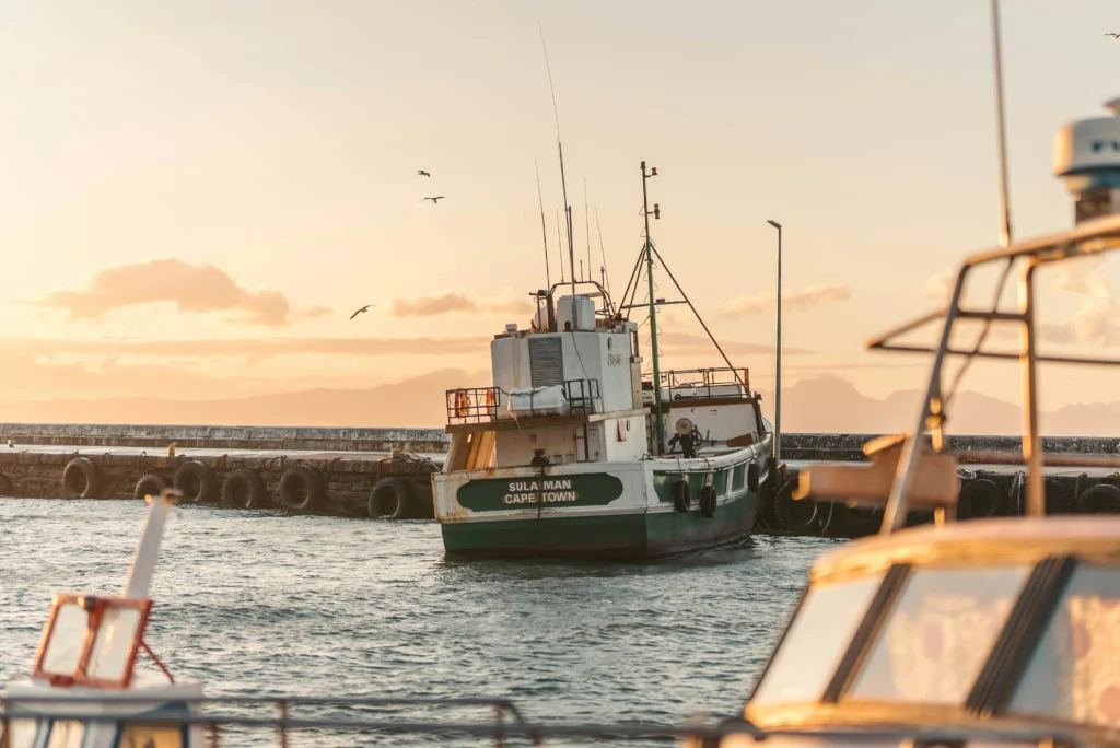 Budget Day Trips from Cape Town